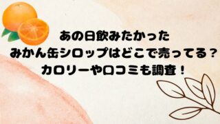 あの日飲みたかったみかん缶シロップはどこで売ってる？カロリーや口コミも調査！