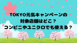 コンビニやユニクロでも使える？