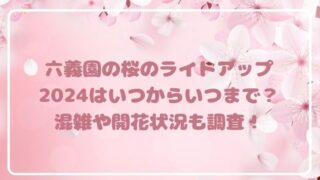 六義園の桜のライトアップ2024はいつからいつまで？混雑や開花状況も調査！