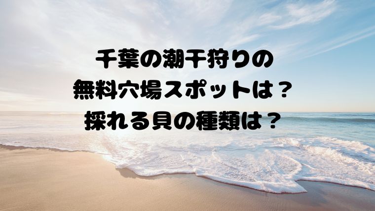 千葉の潮干狩りの無料穴場スポットは？採れる貝の種類は