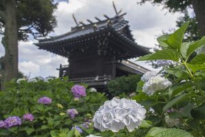 白山神社