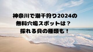 神奈川で潮干狩り2024の無料穴場スポットはどこ？ 採れる貝の種類も！