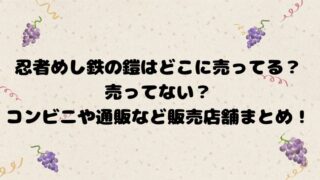 忍者めし鉄の鎧はどこに売ってる？売ってない？コンビニや通販など販売店舗まとめ！