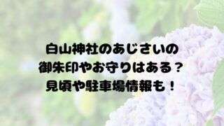 白山神社のあじさいの御朱印やお守りはある？見頃や駐車場情報も！