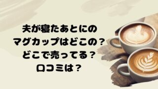 夫が寝たあとにのマグカップはどこの？どこで売ってる？口コミは？